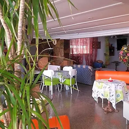 Pecci Rimini