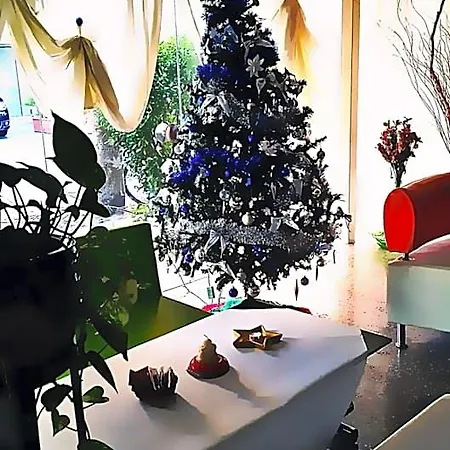 Pecci Rimini
