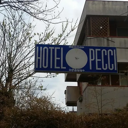 酒店 Pecci 3*