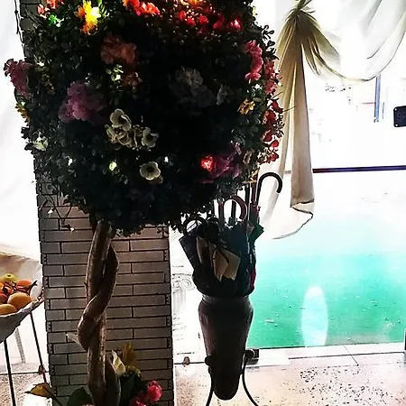 Pecci 3* 里米尼